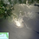 Come arginare il danno nel GOLFO DEL MESSICO 150x150 Come arginare il danno nel GOLFO DEL MESSICO: