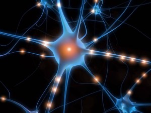 Master Formazione Formatori corso “Apprendimento in Azione” - neurone - www.RicchezzaVera.com