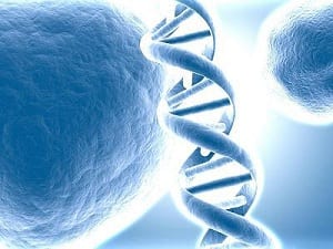 DNA: il proiettore 4D