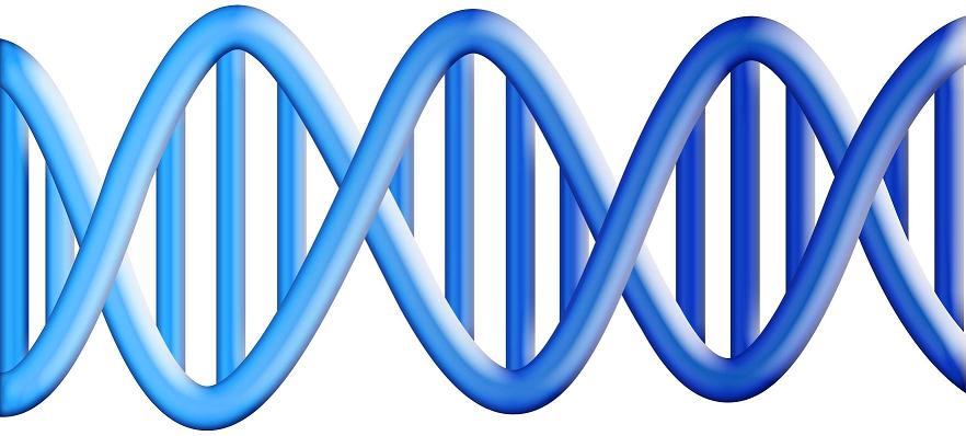 dna - ricchezzaVera.com