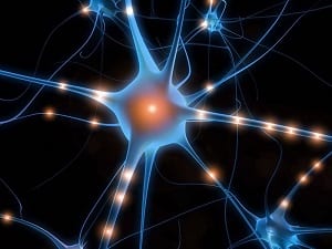 Master-Formazione-Formatori-corso-“Apprendimento-in-Azione”-neurone