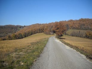 acanze di Natale in Emilia Romagna