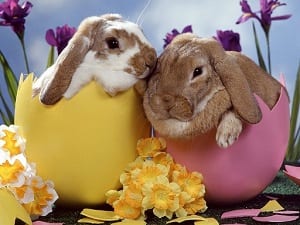 Tanti Auguri di Buona Pasqua!